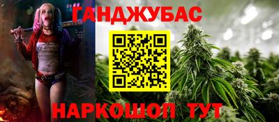 гашик Новозыбков