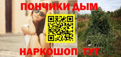 гашик Новозыбков