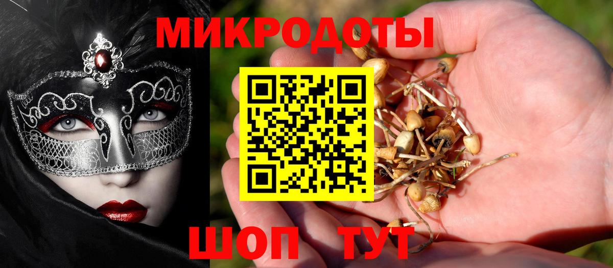 Галлюциногенные грибы Magic Shrooms Волгоград