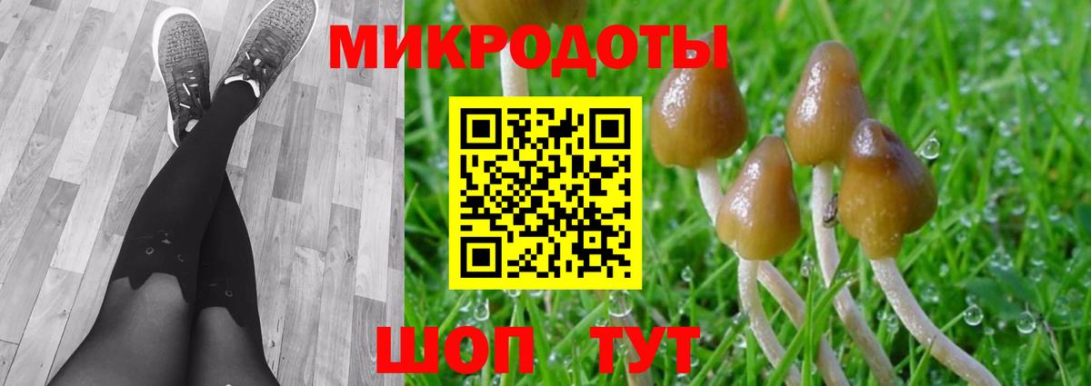 где продают наркотики  Псилоцибиновые грибы мицелий  Вход с VPN  Волгоград 